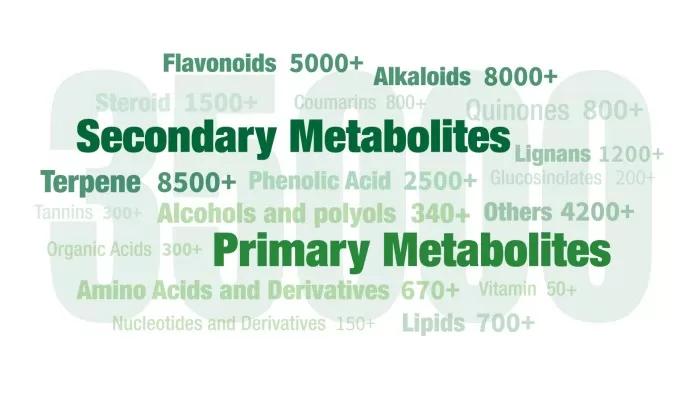 35000 plant metabolites database